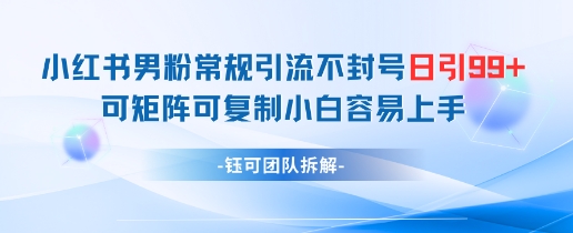 小红书男粉常规引流不封号日引99+变现简单 可矩阵可复制小白容易上手-电脑资源自留地