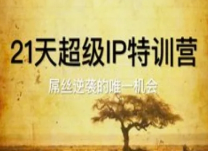 21天超级IP特训营，屌丝逆袭的唯一机会-电脑资源自留地