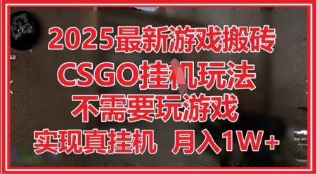 2025最新游戏搬砖，CSGO挂G，不需要玩游戏，实现真挂G，月入1W+【揭秘】-电脑资源自留地