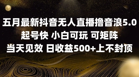 2025五月最新无人直播撸音浪单日产出5张+实操教程【揭秘】-电脑资源自留地