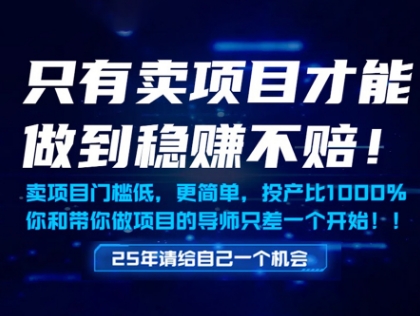 只有卖项目才能做到稳挣不赔，门槛低，更简单，你也可以年入百个W【揭秘】-电脑资源自留地