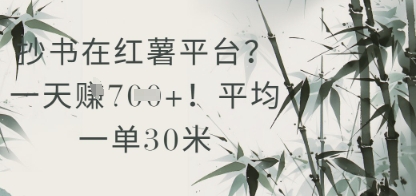 抄书在小红薯平台？平均一单30米，一天收益几张！-电脑资源自留地