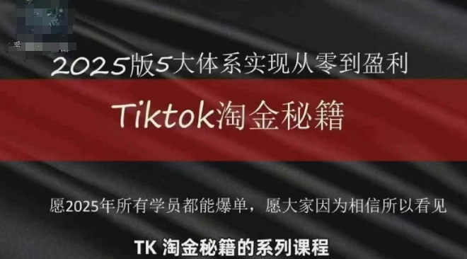 TikTok跨境2025淘金秘籍，​2025TikTok从0到盈利变现-电脑资源自留地