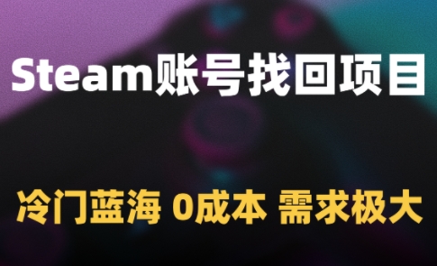 Steam账号找回项目，冷门蓝海，0成本，需求极大-电脑资源自留地