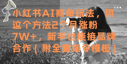 小红书AI商单玩法，用这个方法2个月涨粉7W+，新手也能接品牌合作(附全套指令模板)-电脑资源自留地