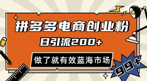 拼多多引流电商创业粉，日引200+，可矩阵放大，做了就有效【揭秘】-电脑资源自留地