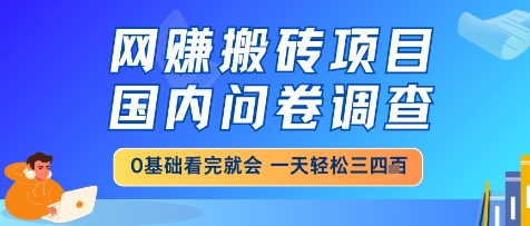 网创搬砖项目，国内问卷调查，小白轻松上手，一天三四张的也不难，干就完了【揭秘】-电脑资源自留地