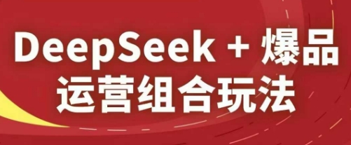 DeepSeek+爆品运营组合玩法，2025淘系精品课-电脑资源自留地