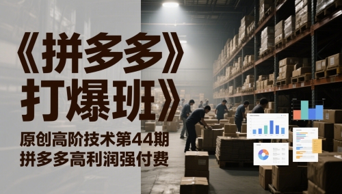 《拼多多打爆班》原创高阶技术第44期，拼多多高利润强付费-电脑资源自留地