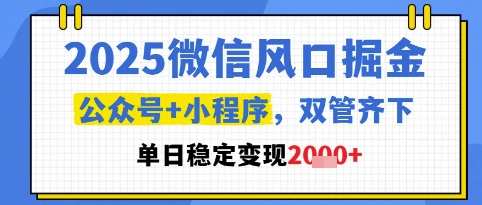 2025微信风口掘金，公众号+小程序双管齐下，单日稳定变现1k+【揭秘】-电脑资源自留地