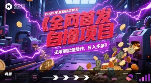全网首发，2025年最新稳定暴力全自动自撸项目，无限制批量操作，日入多张【揭秘】-电脑资源自留地
