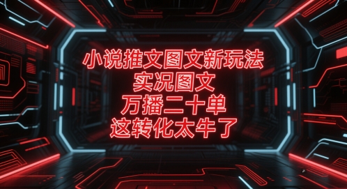 小说推文图文新玩法，实况图文，万播二十单，这转化太牛了！-电脑资源自留地