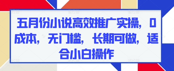五月份小说高效推广实操，0成本，无门槛，长期可做，适合小白操作-电脑资源自留地