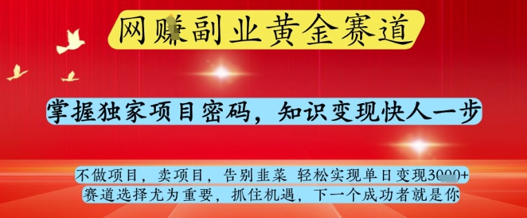 网创副业黄全赛道，掌握独家项目密码，知识变现快人一步，告别韭菜轻松实现单日变现1k+【揭秘】-电脑资源自留地