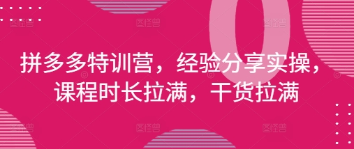 拼多多特训营，经验分享实操，课程时长拉满，干货拉满(更新25年4月)-电脑资源自留地
