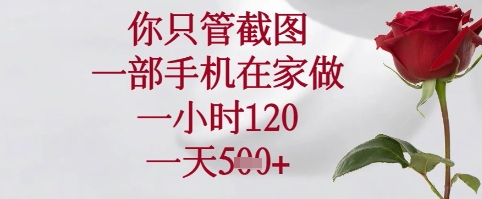 你只管截图，一部手机在家可以做，一小时120.一天5张+【揭秘】-电脑资源自留地