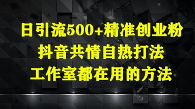 日引流500+精准创业粉，抖音共情自热打法，工作室都在用的方法-电脑资源自留地