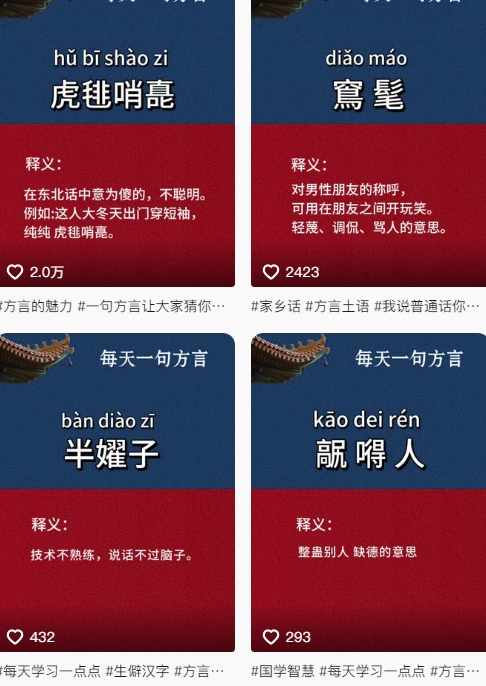 抖音最新涨粉玩法，图文方言暴力涨粉实操，126作品涨粉11W-电脑资源自留地
