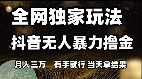 全网独家玩法抖音无人暴力撸金，月入3W，有手就行，当天拿结果【揭秘】-电脑资源自留地