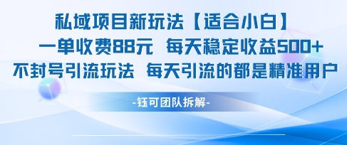 私域项目新玩法【适合小白】 一单收费88.每天稳定收益几张-电脑资源自留地