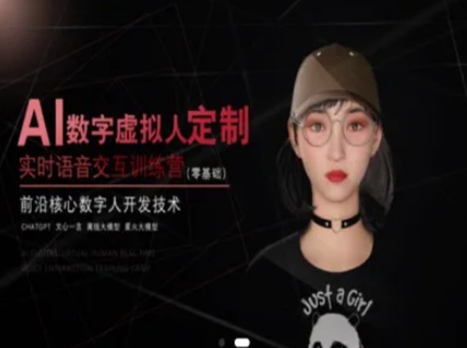 AI数字虚拟人定制，实时语音交互训练营（零基础），前沿核心数字人开发技术-电脑资源自留地