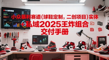 小众暴利赛道(球鞋定制，二创项目)实体+私域2025王炸组合  交付手册-电脑资源自留地