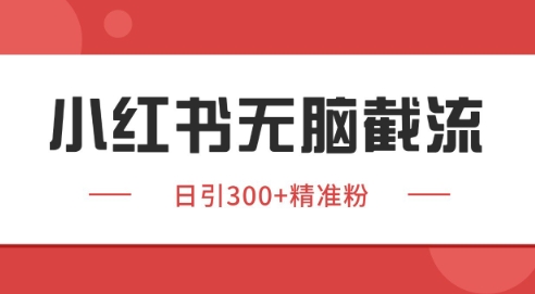 小红书截流同行客源，独家野路子获客玩法 日引200+暴力获客【揭秘】-电脑资源自留地