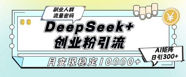 DeepSeek+创业粉精准引流，全新分享课4.0玩法，AI矩阵日引300+，多种变现方式，稳定月入1W-电脑资源自留地