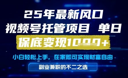 25年最新风口，视频号托管项目，单日保底变现1k+，手把手教学【揭秘】-电脑资源自留地