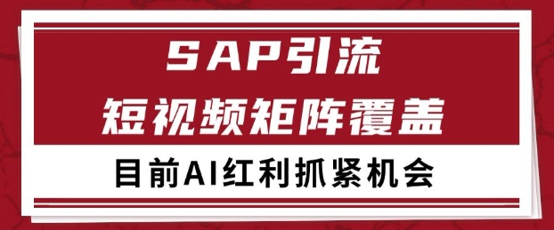 小红书某音sap赛道引流获客 自热矩阵日引200+【揭秘】-电脑资源自留地